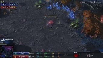 中国星际争霸爆料视频完整版,中国电竞战队备战新篇章  第1张